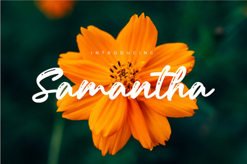 Samantha Script Font Font Typobia 