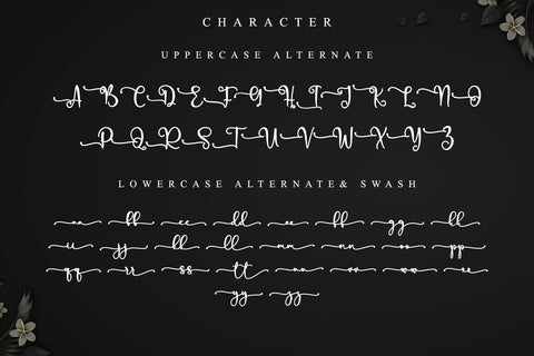 Samorina Font Letterara 