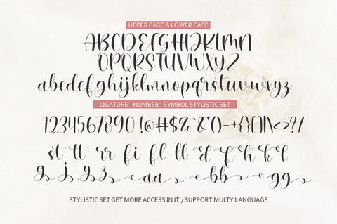 Sampreto | Elegant Calligraphy Font Font Megatype 