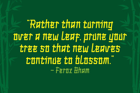 Samuri Faux Japanese Font Font twinletter 