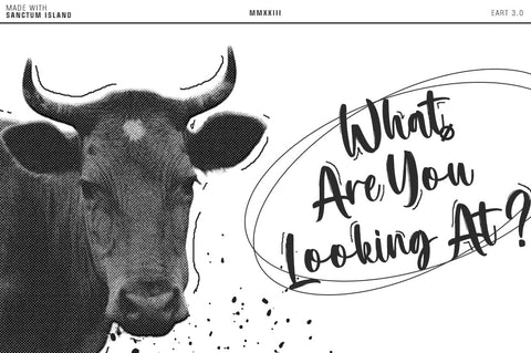 Sanctum Island - Textured Brush Font Font Muhajir 