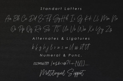 Sanderland Signature Script Font Balevgraph Studio 