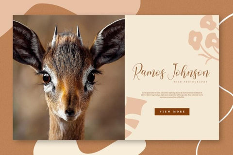 Sandreya Script Font yumnatype 