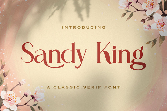 Sandy King - Casual Serif Font Font StringLabs 