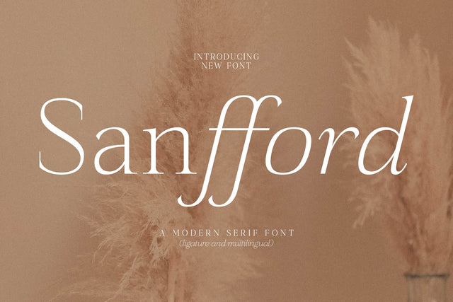 Sanfford Typeface Font Storytype Studio 