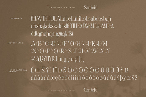 Sanfterd Typeface Font Storytype Studio 