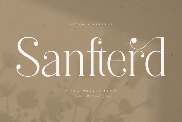 Sanfterd Typeface Font Storytype Studio 