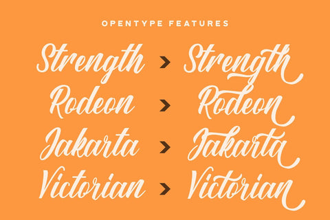 Sang Ratu - Vintage Script Font Font StringLabs 