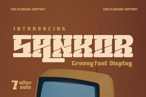 SANKOR | Groovy Retro Font Font twinletter 