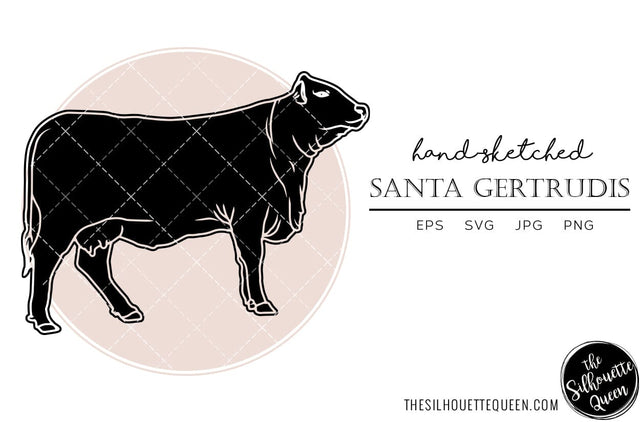 Santa Gertrudis Sketch Vector SVG Loveleen Kaur 