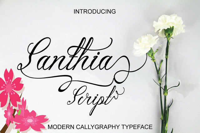 Santhia Font marwah store