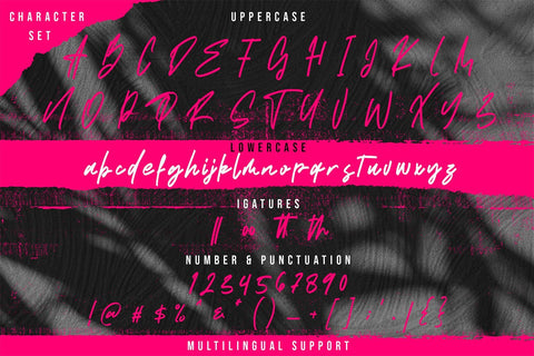Santy Ehisa - Stylish Script Font Font StringLabs 
