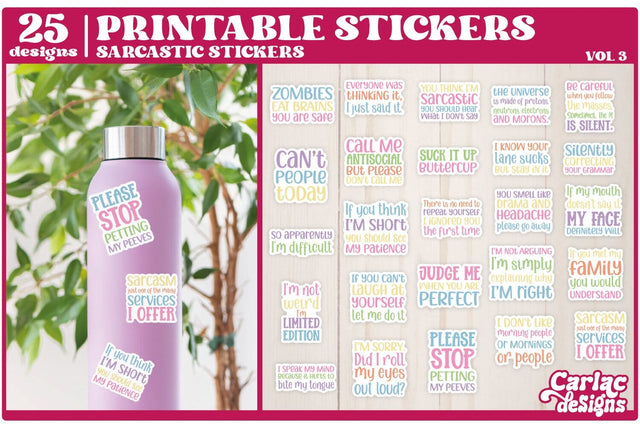 Sarcastic Funny Stickers | Funny Packaging Stickers Sublimation Carla C Designs 