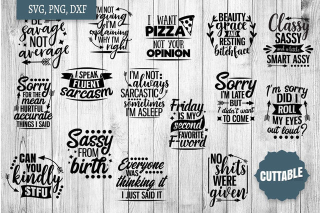 Sarcastic Quote Bundle, Sassy SVG Set, Sarcastic cut file bundle SVG Cuttable 
