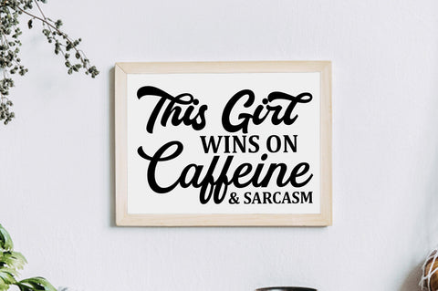 Sarcastic Sign SVG Bundle, 25 Designs SVG Shetara Begum 