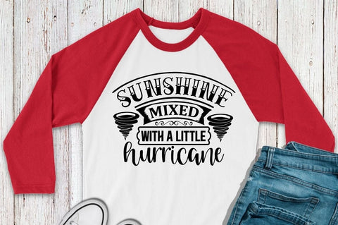 Sarcastic SVG Bundle SVG Designangry 