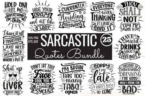 Sarcastic SVG Bundle SVG DESIGNISTIC 