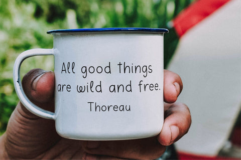 Sardine Font Sunday Nomad 