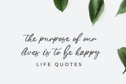 Sartadi Script Font Font Vultype Co 