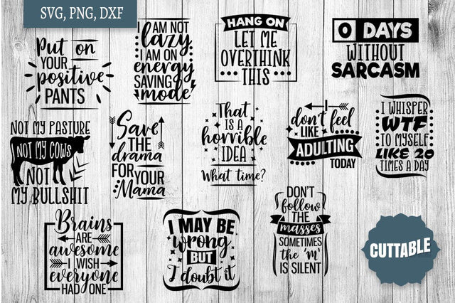 Sassy Bundle, Funny Quote Cut File Bundle, Sarcastic quote SVG bundle SVG Cuttable 