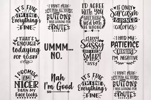 Sassy Bundle, Funny Quote Cut File Bundle, Sarcastic quote SVG bundle SVG Svgcraft 