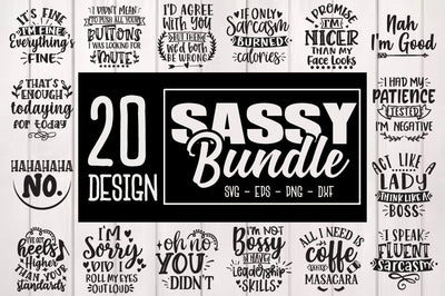 Sassy Bundle, Funny Quote Cut File Bundle, Sarcastic quote SVG bundle SVG Svgcraft 