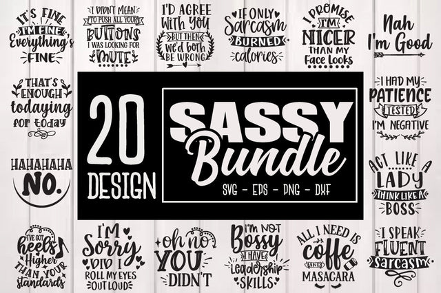 Sassy Bundle, Funny Quote Cut File Bundle, Sarcastic quote SVG bundle SVG Svgcraft 