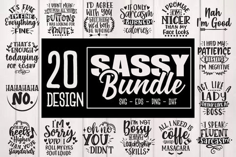 Sassy Bundle, Funny Quote Cut File Bundle, Sarcastic quote SVG bundle SVG Svgcraft 