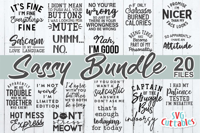 Sassy Bundle svg - Sarcastic Cut File - Funny svg Bundle - Quote - svg - svg - dxf - eps - png - Silhouette - Cricut - Digital File SVG Svg Cuttables 