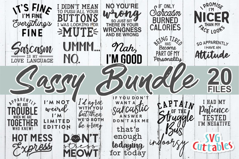Sassy Bundle svg - Sarcastic Cut File - Funny svg Bundle - Quote - svg - svg - dxf - eps - png - Silhouette - Cricut - Digital File SVG Svg Cuttables 