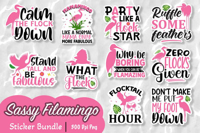 Sassy Flamingo sticker Sublimation bundle Sublimation Regulrcrative 