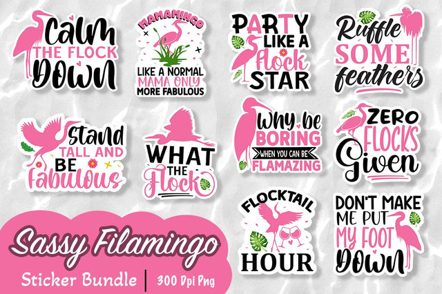 Sassy Flamingo sticker Sublimation bundle Sublimation Regulrcrative 