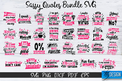 Sassy Quotes Bundle, Sassy SVG, Sarcastic Quotes SVG, vol.1 SVG Fly Design 