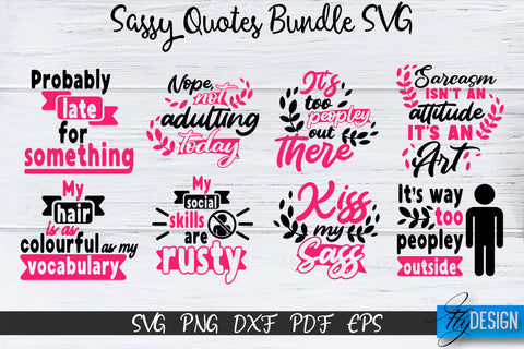 Sassy Quotes Bundle, Sassy SVG, Sarcastic Quotes SVG, vol.2 SVG Fly Design 