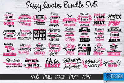 Sassy Quotes Bundle, Sassy SVG, Sarcastic Quotes SVG, vol.2 SVG Fly Design 
