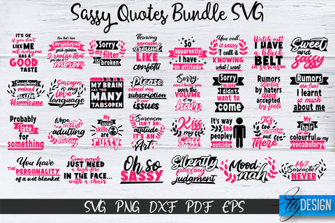 Sassy Quotes Bundle, Sassy SVG, Sarcastic Quotes SVG, vol.2 SVG Fly Design 