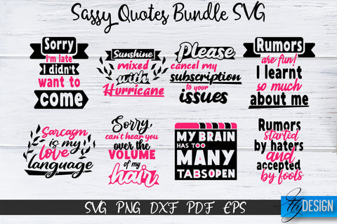 Sassy Quotes Bundle, Sassy SVG, Sarcastic Quotes SVG, vol.2 SVG Fly Design 