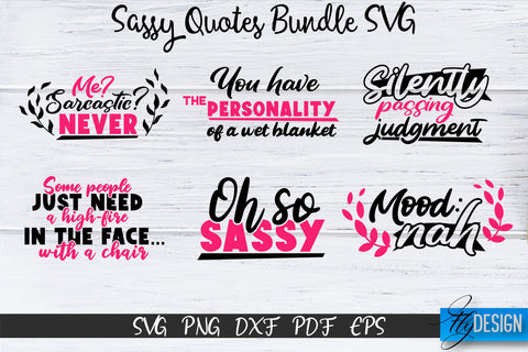 Sassy Quotes Bundle, Sassy SVG, Sarcastic Quotes SVG, vol.2 SVG Fly Design 