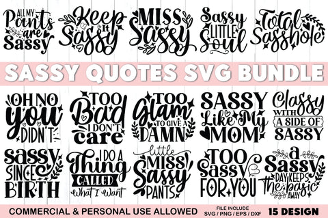 Sassy Quotes SVG Bundle SVG Ariyan 