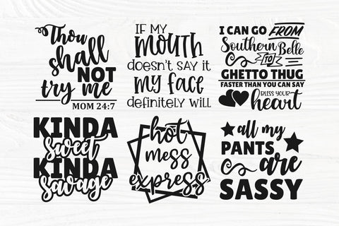 Sassy SVG Bundle, Funny Quotes Svg, Sarcastic Svg, Sarcasm Svg, Hot Mess Express, Svg Cut Files, Cricut & Silhouette Files, Svg, Dxf, Png SVG TonisArtStudio 