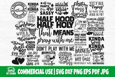 Sassy SVG Bundle, Funny Quotes Svg, Sarcastic Svg, Sarcasm Svg, Hot Mess Express, Svg Cut Files, Cricut & Silhouette Files, Svg, Dxf, Png SVG TonisArtStudio 