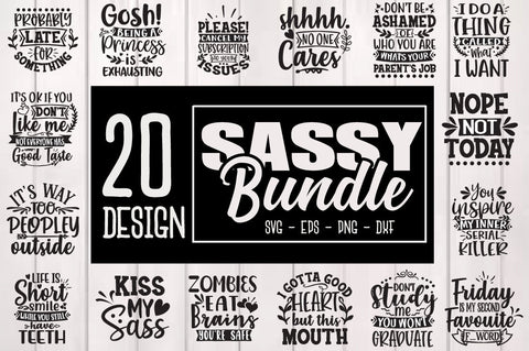 Sassy SVG Bundle, Sarcastic Svg, Sassy Quotes Svg SVG Svgcraft 
