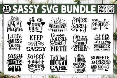 Sassy SVG Bundle SVG Ariyan 
