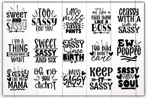 Sassy SVG Bundle SVG Ariyan 