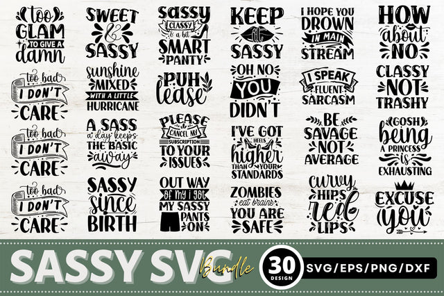 Sassy Svg Bundle SVG Regulrcrative 