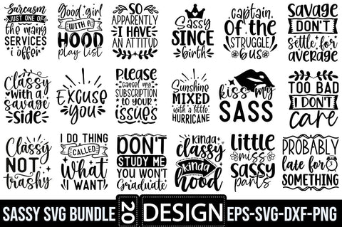 Sassy SVG Bundle SVG SH_Tee store 