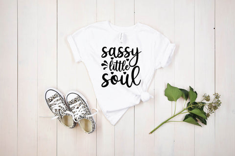 sassy svg bundle vol 1 SVG buydesign 