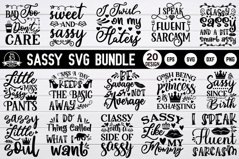 sassy svg bundle vol 3 SVG buydesign 