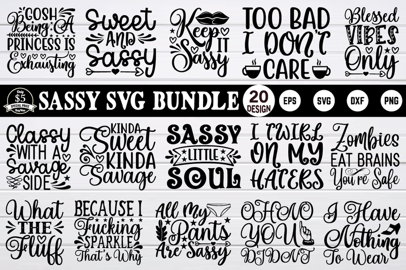 sassy svg bundle vol 6 SVG buydesign 