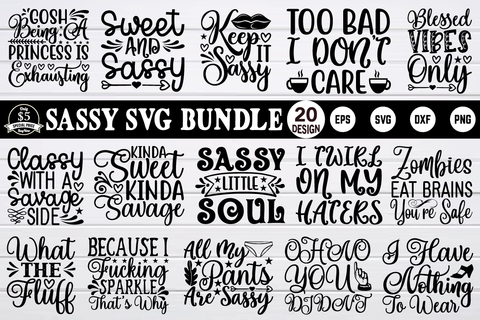 sassy svg bundle vol 6 SVG buydesign 